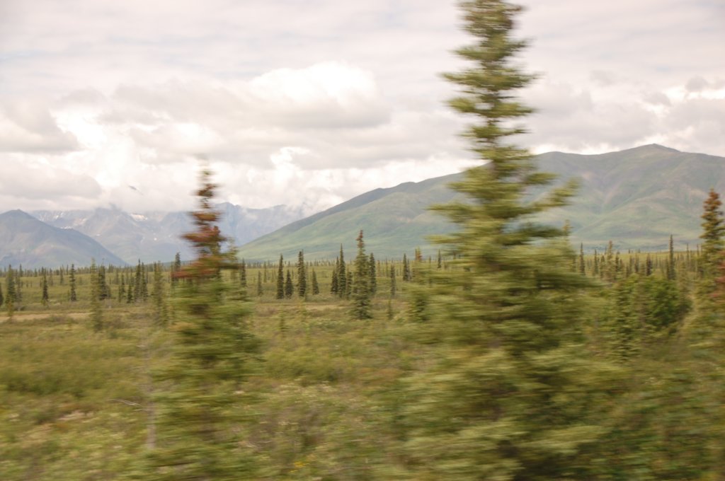 dsc_0931.jpg
