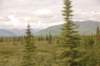 dsc_0931_small.jpg