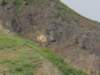 dscn1145_small.jpg