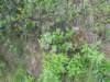 dscn1158_small.jpg