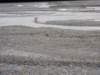 dscn1159_small.jpg