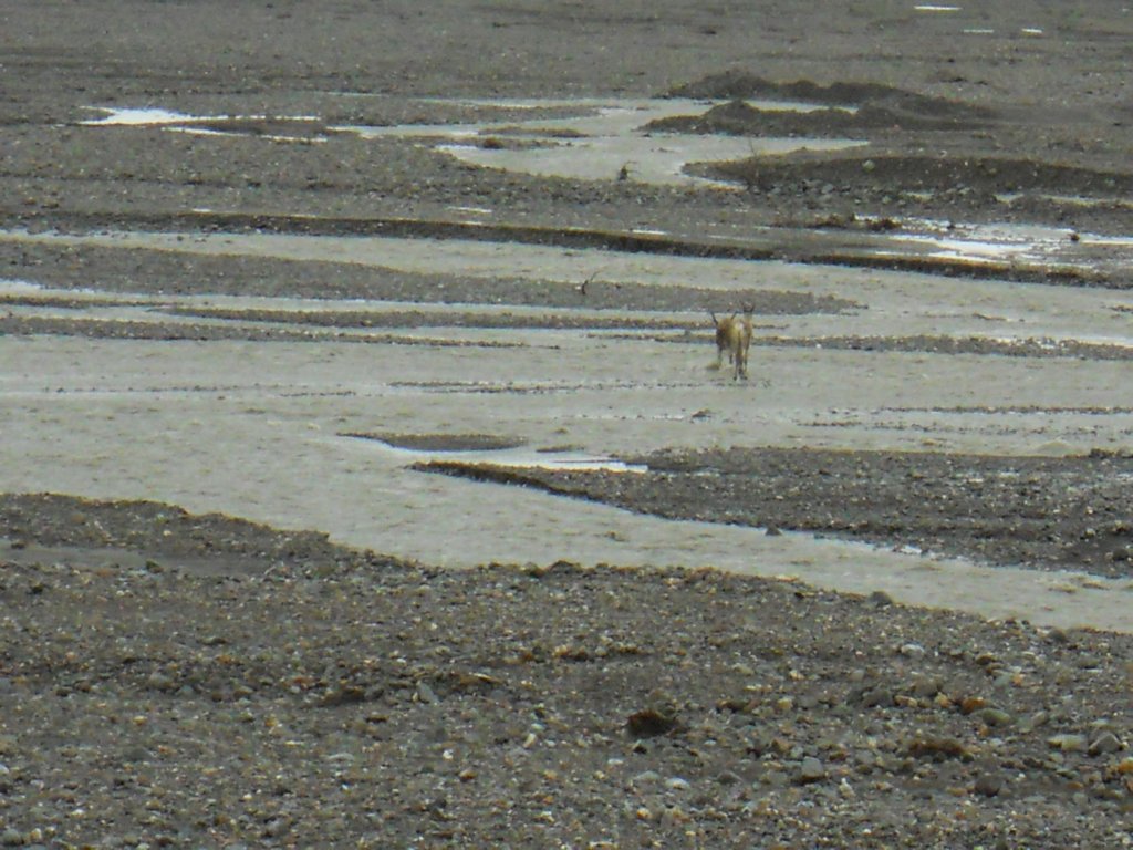 dscn1161.jpg