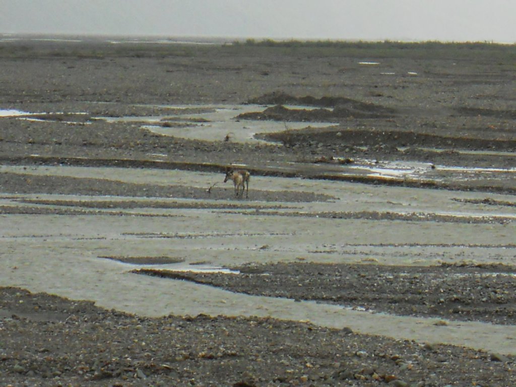 dscn1163.jpg