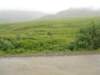 dscn1166_small.jpg