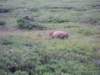 dscn1167_small.jpg