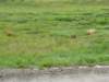 dscn1172_small.jpg