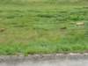 dscn1173_small.jpg