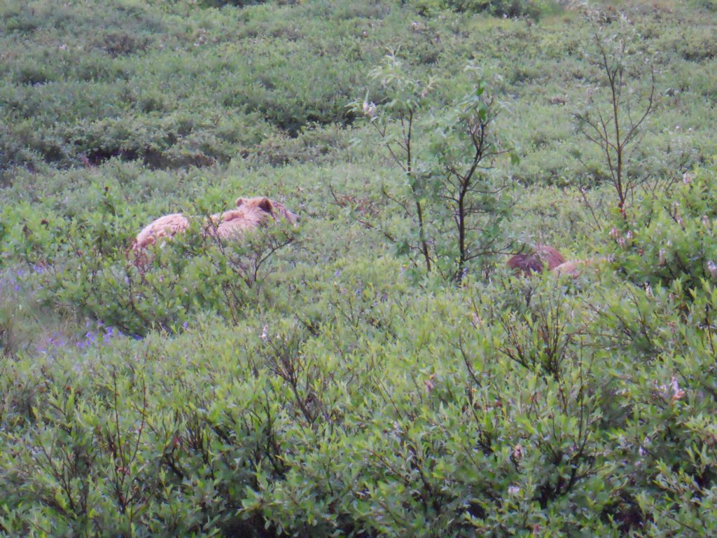 dscn1181.jpg
