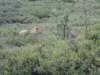 dscn1181_small.jpg