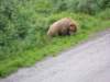 dscn1184_small.jpg