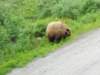 dscn1186_small.jpg