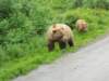 dscn1196_small.jpg