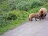 dscn1197_small.jpg