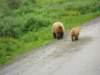 dscn1198_small.jpg