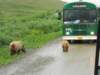 dscn1199_small.jpg