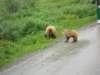 dscn1201_small.jpg