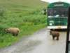 dscn1203_small.jpg