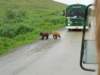 dscn1204_small.jpg