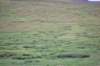 csc_1027_small.jpg