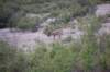 dsc_0934_small.jpg