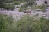 dsc_0935_small.jpg