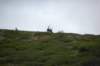 dsc_0938_small.jpg
