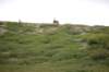 dsc_0939_small.jpg