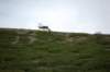 dsc_0940_small.jpg
