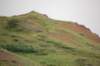 dsc_0943_small.jpg