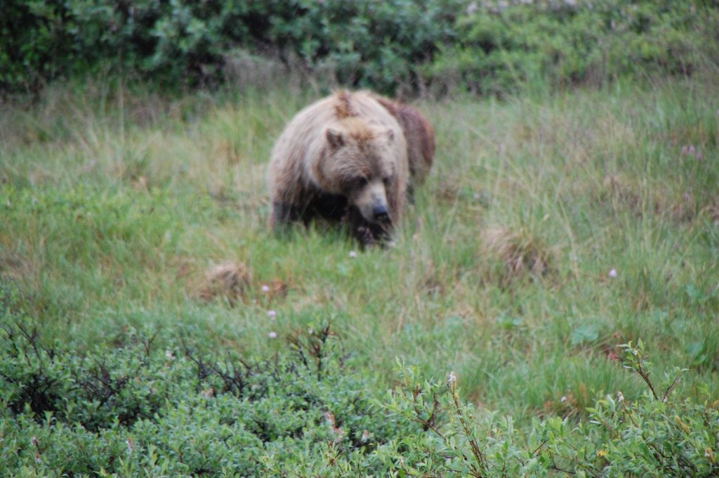 dsc_0957.jpg