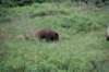 dsc_0961_small.jpg