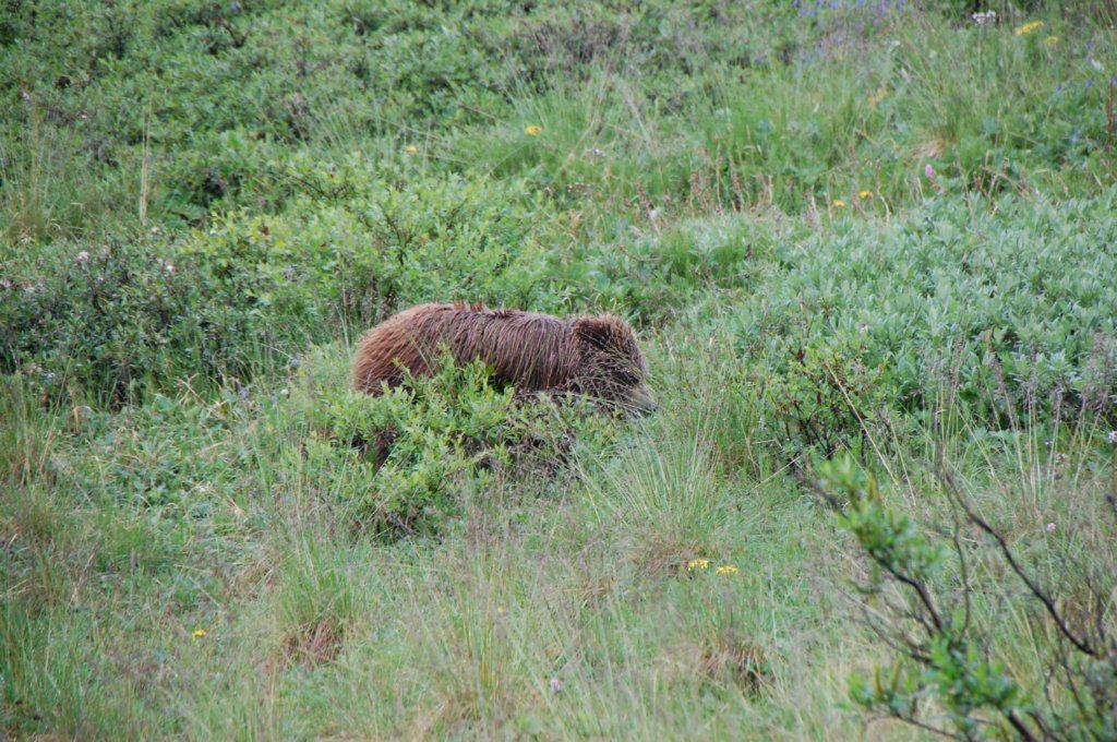 dsc_0963.jpg