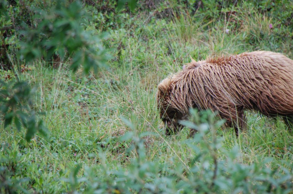 dsc_0969.jpg