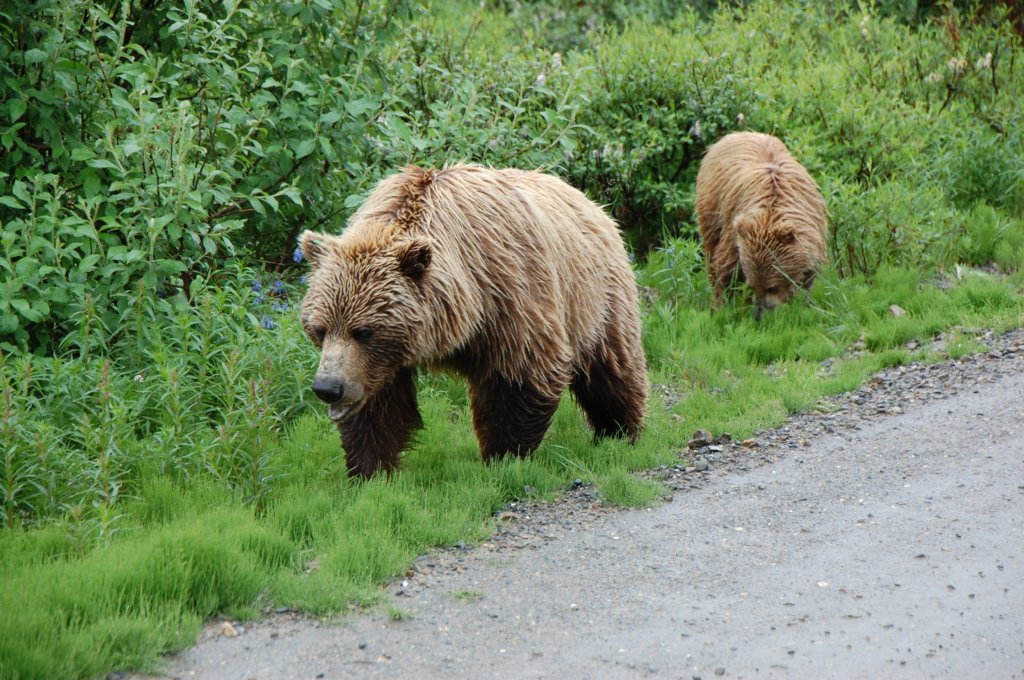 dsc_0984.jpg