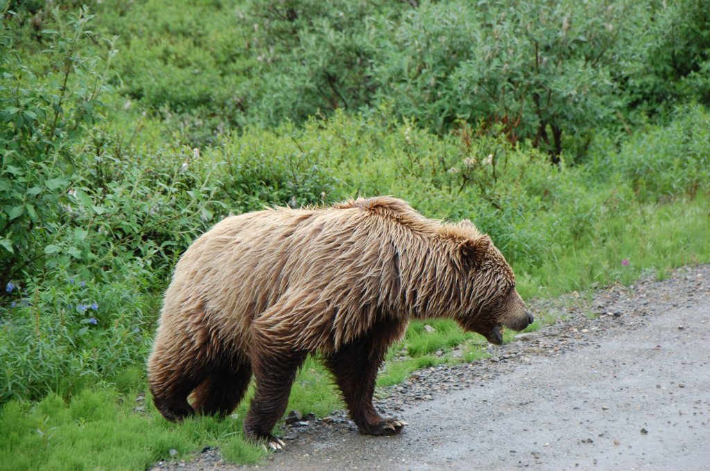 dsc_0986.jpg