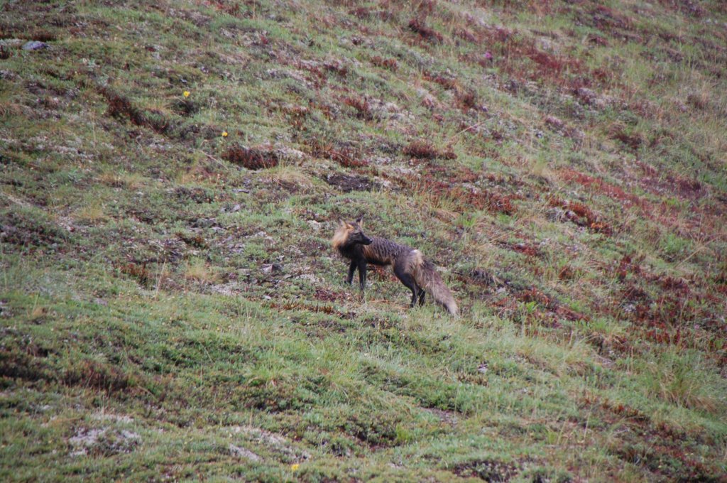 dsc_1014.jpg