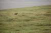 dsc_1021_small.jpg