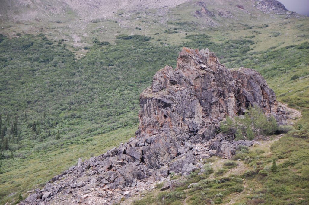 dsc_1028.jpg