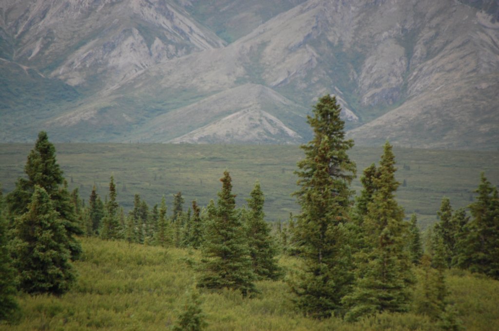 dsc_1030.jpg