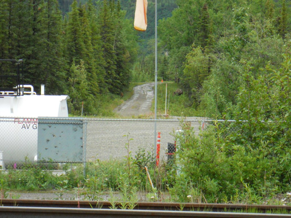 dscn1221.jpg