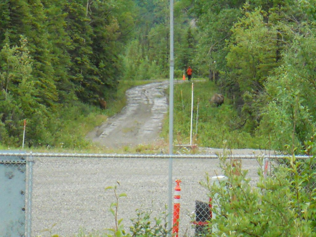 dscn1222.jpg