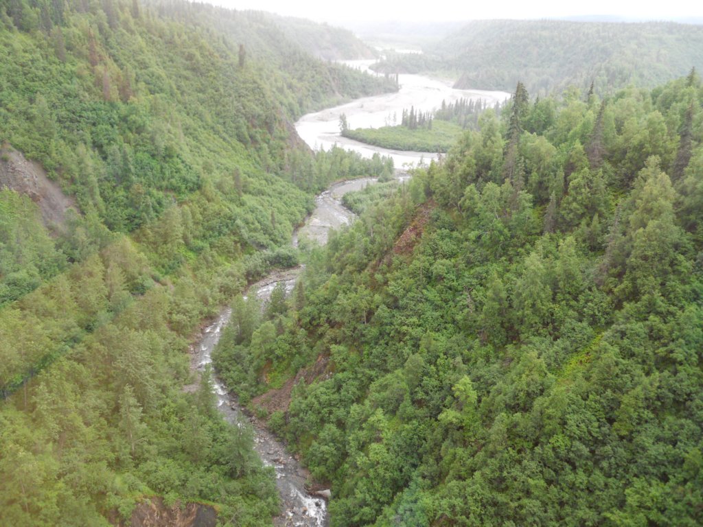 dscn1256.jpg