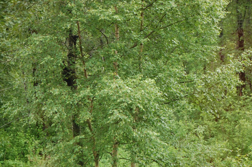 dsc_1038.jpg