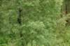 dsc_1038_small.jpg
