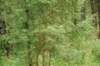 dsc_1039_small.jpg