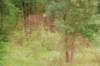 dsc_1041_small.jpg