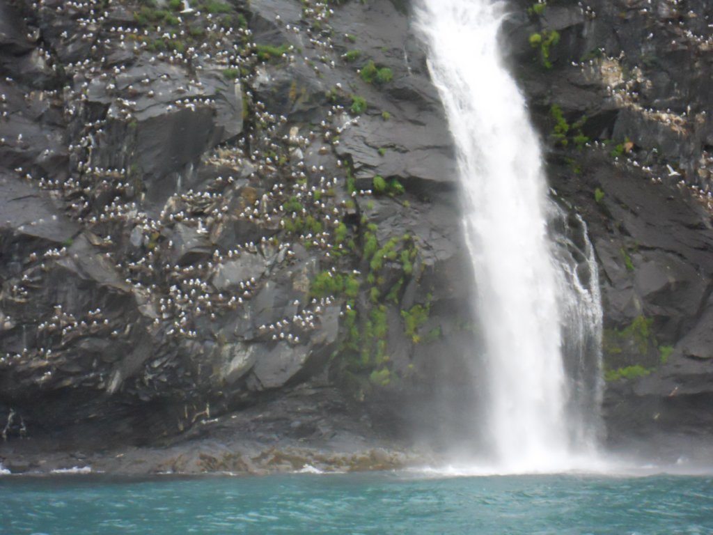 dscn1282.jpg