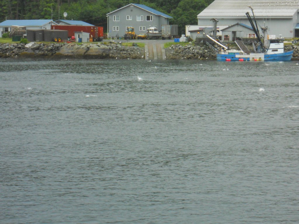 dscn1288.jpg