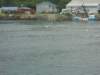 dscn1288_small.jpg
