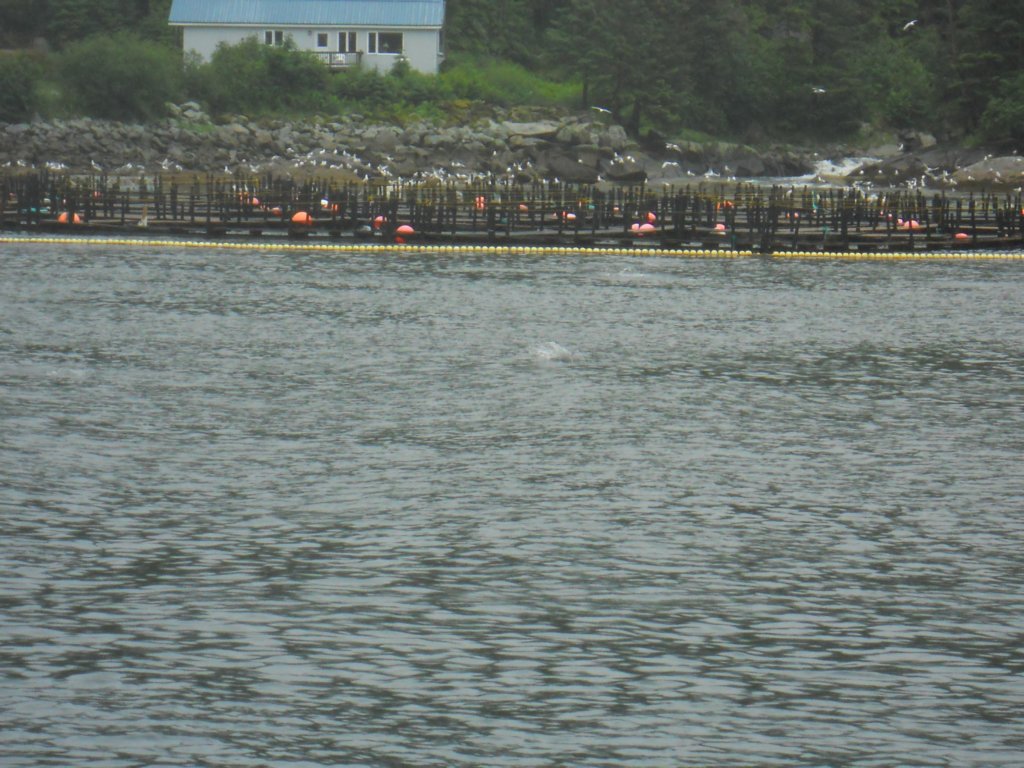 dscn1290.jpg